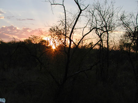 Africa0032