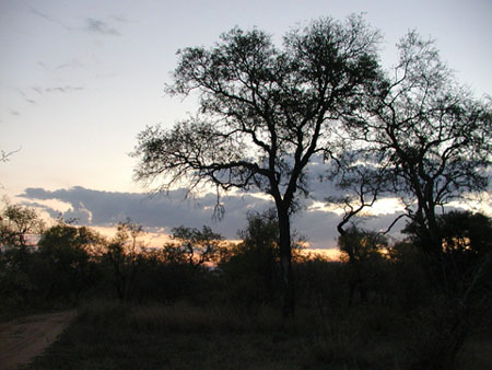 Africa0035