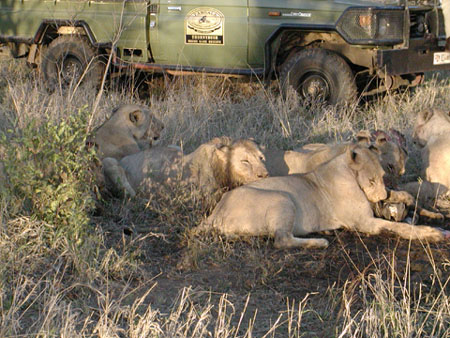 Africa0039