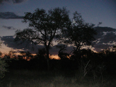 Africa0040