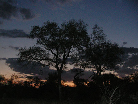 Africa0041