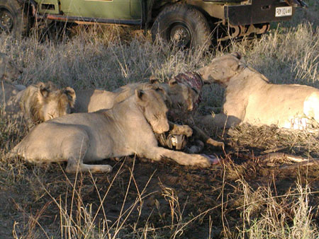 Africa0048