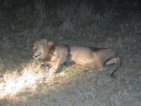 Africa0049
