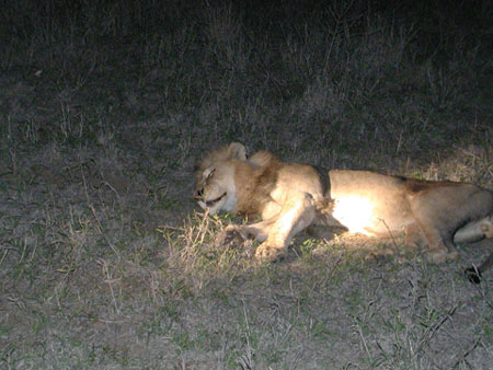 Africa0050