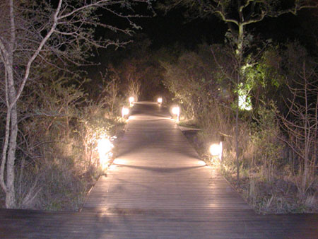 Africa0058