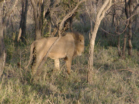 Africa0071