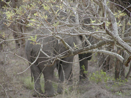 Africa0072