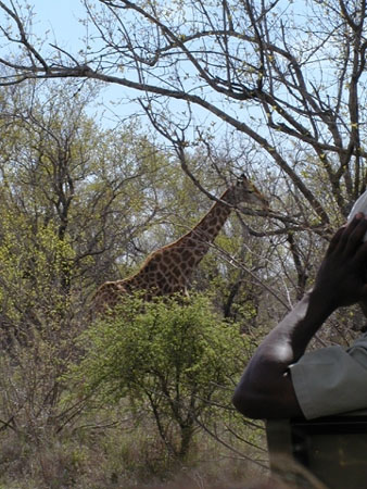 Africa0088