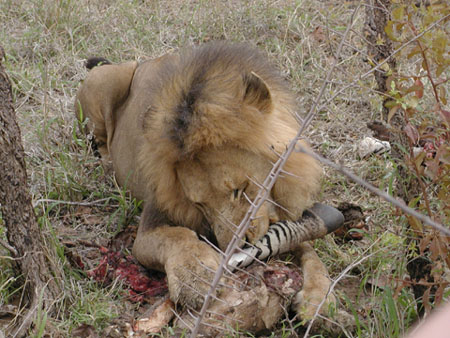 Africa0090