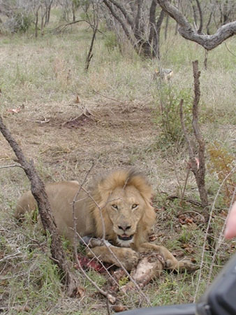 Africa0110