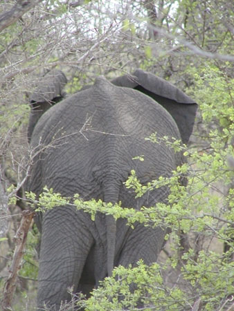 Africa0114