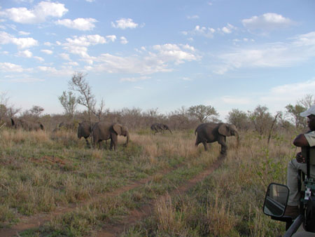 Africa0150