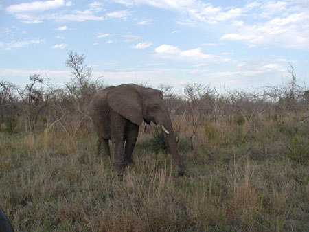 Africa0152