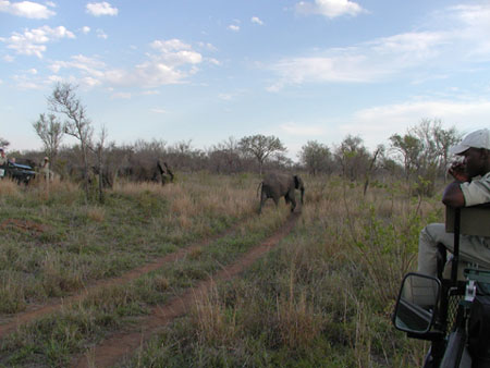 Africa0158