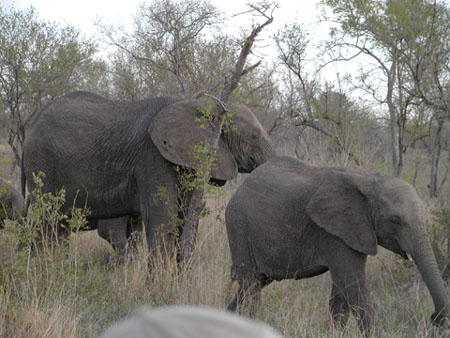 Africa0160