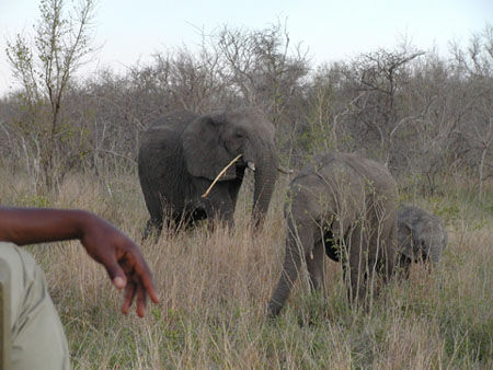 Africa0163