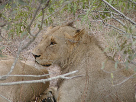 Africa0183