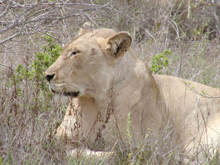 Africa0214