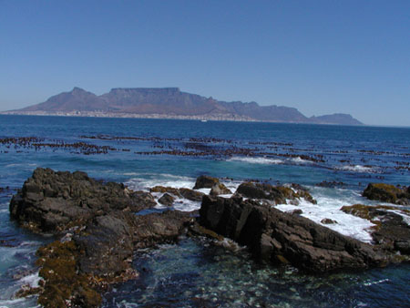 Africa0236