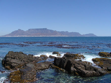 Africa0237