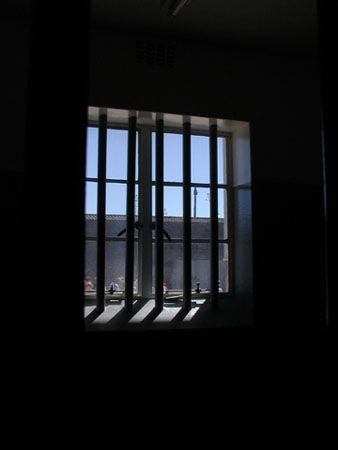Africa0246