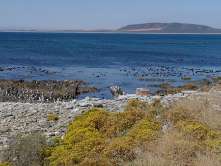 Africa0260