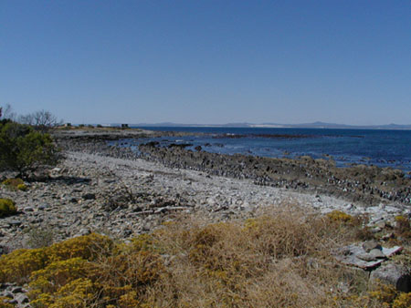 Africa0264
