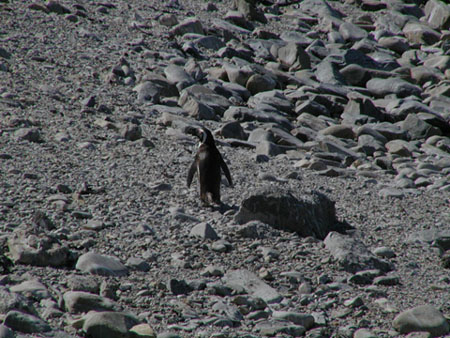 Africa0271