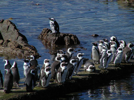 Africa0273