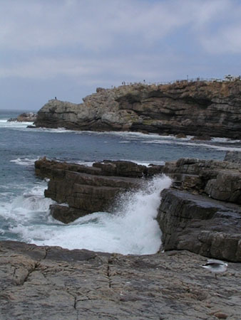 Africa0287