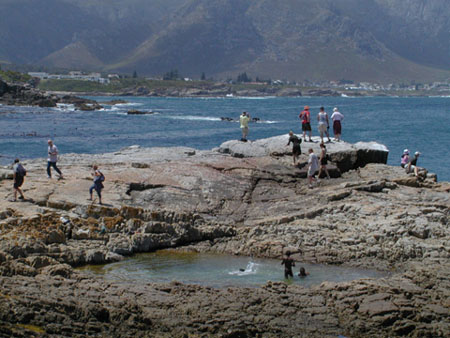 Africa0298
