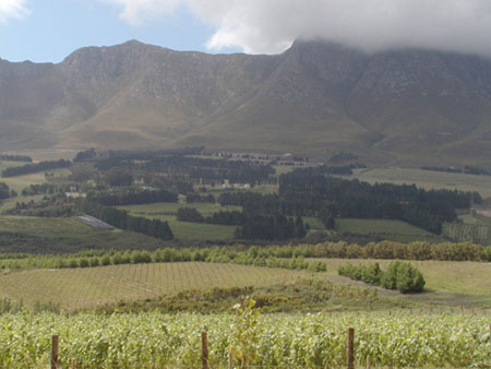 Africa0303