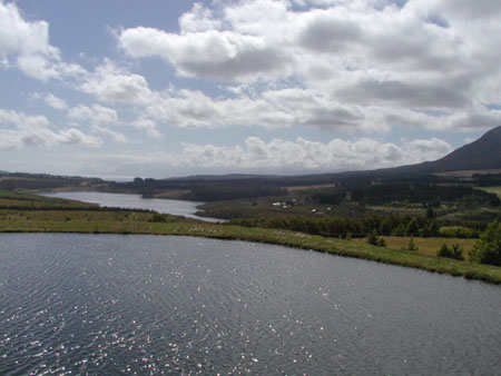 Africa0308