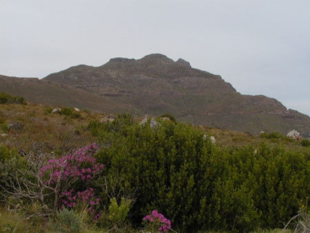 Africa0328