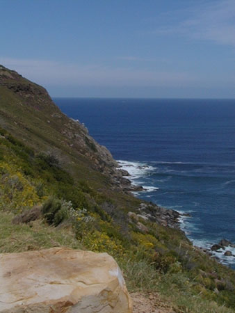 Africa0338