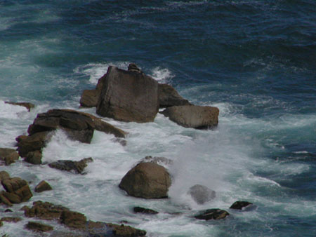 Africa0344