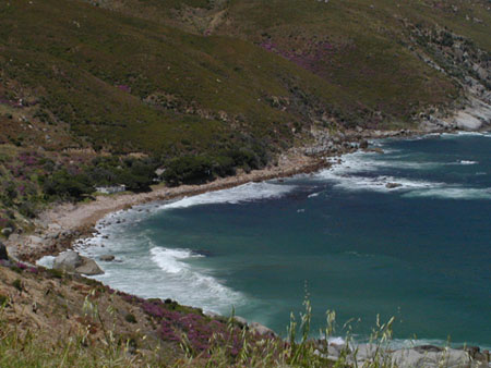 Africa0350