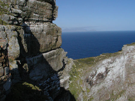 Africa0375