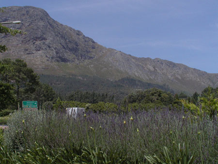 Africa0395