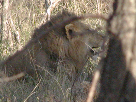 Africa0424