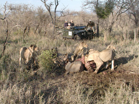 Africa0427