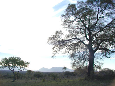 Africa0430