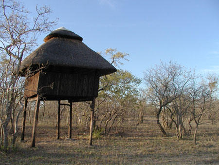 Africa0437