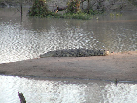 Africa0439