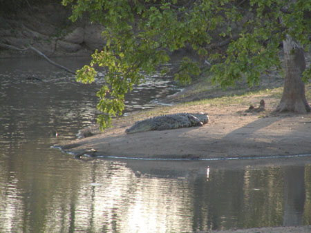 Africa0446