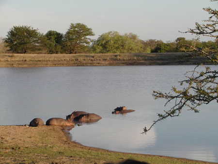 Africa0448