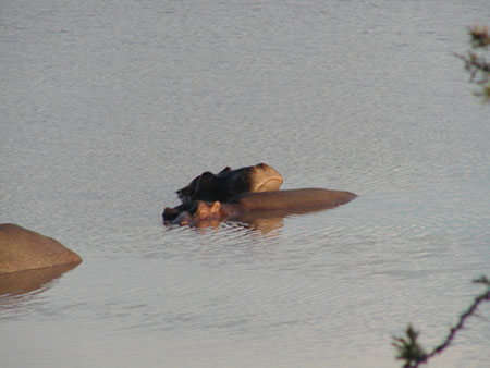 Africa0449