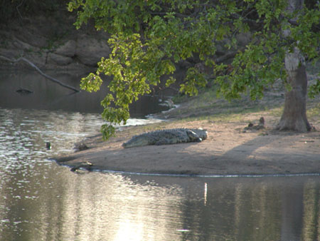 Africa0451