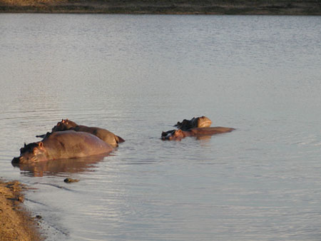 africa0015