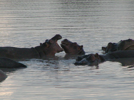 africa0018